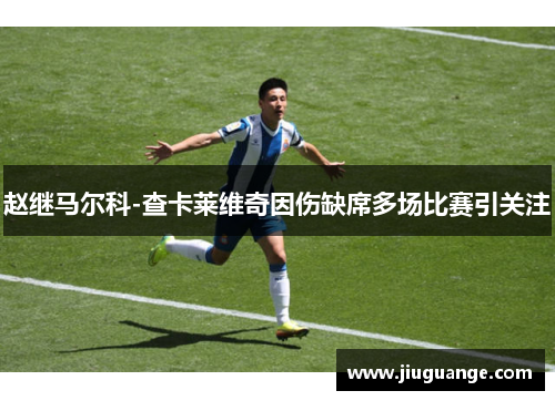 赵继马尔科-查卡莱维奇因伤缺席多场比赛引关注